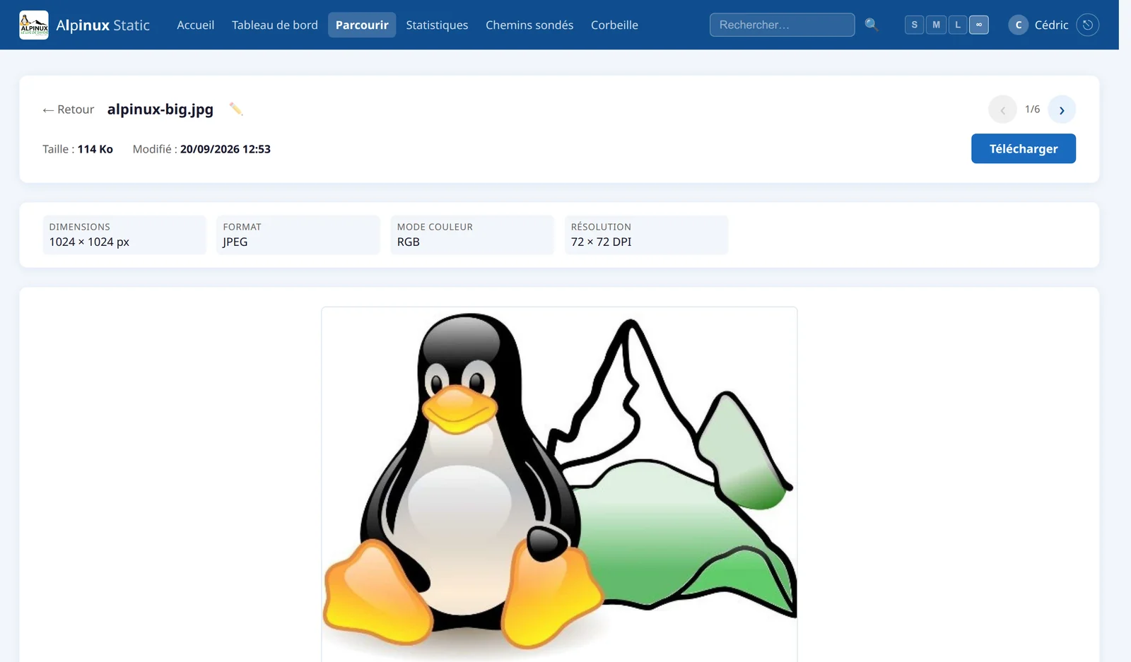 Aperçu d'une image avec ses dimensions, son format, son mode couleur et sa résolution